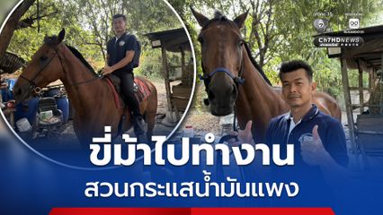 ขี่ม้าไปทำงาน สวนกระแสน้ำมันแพง