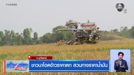 ชาวนาโอดข้าวราคาตก สวนทางราคาน้ำมัน