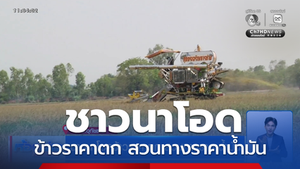 ชาวนาโอดข้าวราคาตก สวนทางราคาน้ำมัน