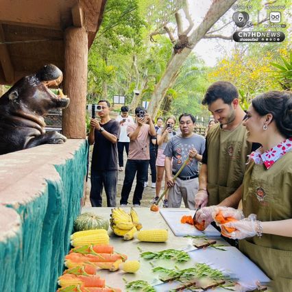 รักล้นบ่อ คู่รักชาวอิตาลีบินลัดฟ้าเซอร์ไพรส์ขอแต่งงาน หน้าส่วนแสดง "หมูเด้ง" ซุปตาร์ฮิปโปแคระแห่งเขาเขียว