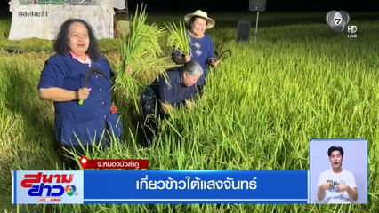 เกี่ยวข้าวใต้แสงจันทร์ จ.หนองบัวลำภู