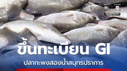 กรมทรัพย์สินทางปัญญา กระทรวงพาณิชย์ ขึ้นทะเบียน GI ปลากะพงสองน้ำสมุทรปราการ