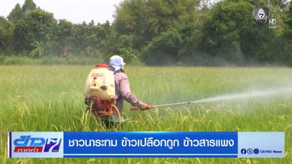 ชาวนาระทม ข้าวเปลือกถูก ข้าวสารแพง