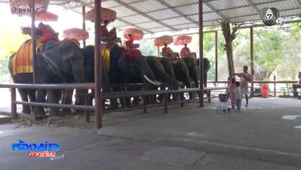 วิกฤตน้ำมันแพง กระทบผู้ประกอบการ