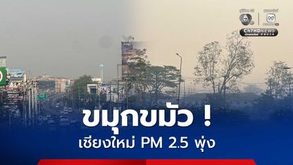 เชียงใหม่วิกฤต ! หมอกควันถล่ม ฝุ่นPM 2.5 พุ่งทั่วทั้งเมือง