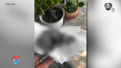 วิกฤตหมอกควัน เด็กเลือดกำเดาไหล จ.เชียงใหม่