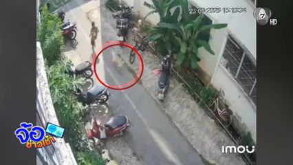 สุนัขดุไล่กัดหลายคน ทำชาวบ้านเดือดร้อน