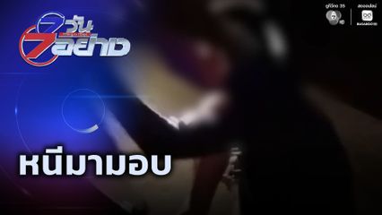 7 วัน 7 อย่าง : หนีมามอบ