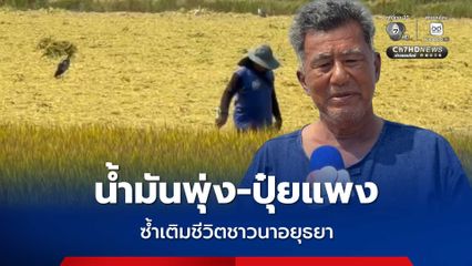 น้ำมันพุ่ง-ปุ๋ยแพง ซ้ำเติมชีวิตชาวนาอยุธยา ต้นทุนพุ่งไร่ละ 7,000 บาท