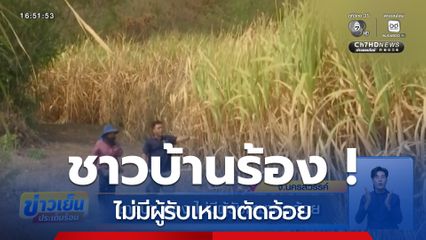 ชาวบ้านร้อง ไม่มีผู้รับเหมาตัดอ้อย