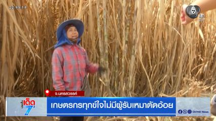 เกษตรกรทุกข์ใจไม่มีผู้รับเหมาตัดอ้อย