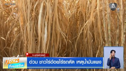 อ่วม ! ชาวไร่อ้อยไร้รถตัด เหตุน้ำมันแพง