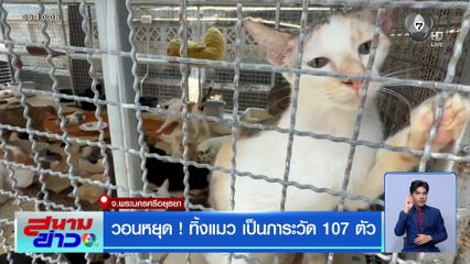 วอนหยุด ! ทิ้งแมว เป็นภาระวัด 107 ตัว