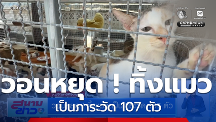 วอนหยุด ! ทิ้งแมว เป็นภาระวัด 107 ตัว