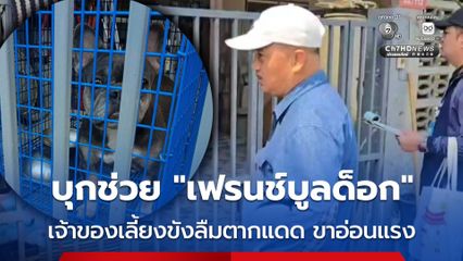 บุกช่วย "เฟรนช์บูลด็อก" ถูกเจ้าของเลี้ยงขังลืมตากแดด จนขาอ่อนแรง