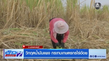 รายงานพิเศษ : วิกฤตน้ำมันแพง กระทบเกษตรกรไร่อ้อย