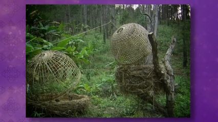 เนื่องในโอกาสวันคล้ายวันพระราชสมภพ สมเด็จพระกนิษฐาธิราชเจ้า กรมสมเด็จพระเทพรัตนราชสุดา ฯ สยามบรมราชกุมารี 2 เมษายน 2569 โทรทัศน์รวมการเฉพาะกิจแห่งประเทศไทย ขอเสนอสารคดีเฉลิมพระเกียรติ ตอนที่ 3 สืบสานพระราชดำริ ป่าฟื้นฟู คนยั่งยืน