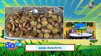 ของแพง เก็บของป่าหากิน