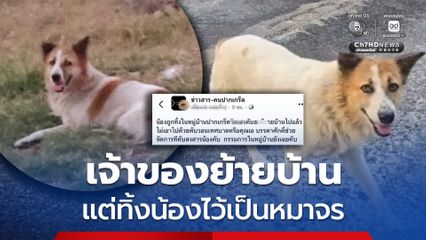 สุดสงสาร! เจ้าของย้ายบ้าน แต่ไม่เอาสุนัขไปด้วย ปล่อยให้เป็นสุนัขจรจัดในหมู่บ้าน