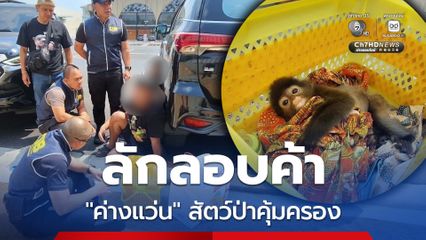 จับกุมผู้ต้องหา 2 ราย ลักลอบค้าค่างแว่นสัตว์ป่าคุ้มครอง
