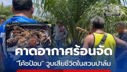 คาดอากาศร้อนจัด “โค้ชป้อม” วูบเสียชีวิตในสวนปาล์ม