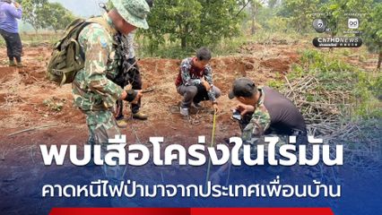 พบเสือโคร่งในไร่มัน คาดหนีไฟป่ามาจากประเทศเพื่อนบ้าน