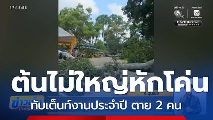 ต้นไม้ใหญ่โค่นทับเต็นท์งานประจำปี ตาย 2 คน