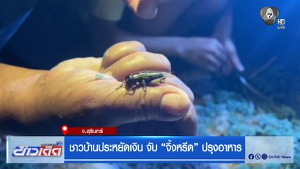 ชาวบ้านประหยัดเงิน จับ "จิ้งหรีด” ปรุงอาหาร