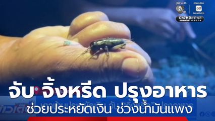 ชาวบ้านประหยัดเงิน จับ "จิ้งหรีด” ปรุงอาหาร