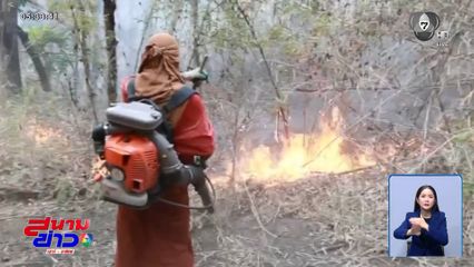 วิกฤตไฟป่า ปกคลุมภาคเหนือ