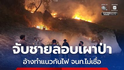 จับได้คามือชายลอบเผาป่า อ้างทำแนวกันไฟ