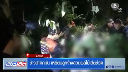 ช้างป่าตกมัน เหยียบลูกจ้างสวนผลไม้เสียชีวิต