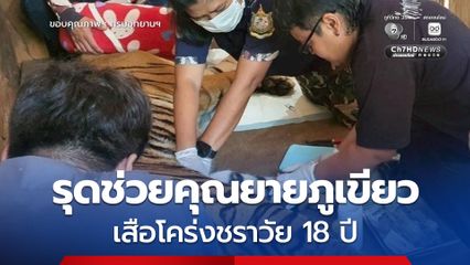 ทีมสัตวแพทย์บึงฉวาก รุดช่วย  คุณยายภูเขียว เสือโคร่งชราวัย 18 ปี หลังพบภาวะเล็บงุ้มจิกเนื้อ ล่าสุดอาการดีขึ้น เดินปร๋อ-กินอาหารได้ปกติ