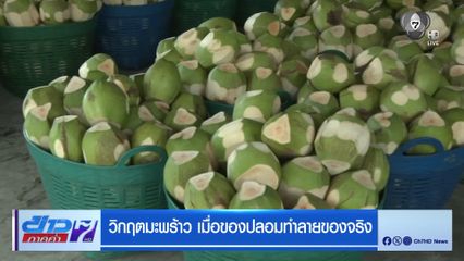 รายงานพิเศษ : วิกฤตมะพร้าว เมื่อของปลอมทำลายของจริง