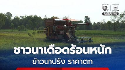 ชาวนาเดือดร้อนหนัก ราคาข้าวนาปรังตกต่ำ กิโลกรัมละ 5 บาท ขณะที่ราคาน้ำมันลิตรละ 50 บาท