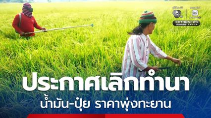 ชาวนาน้ำตาซึม ประกาศเลิกทำนา เพราะรับภาระราคาน้ำมัน-ปุ๋ย ไม่ไหว