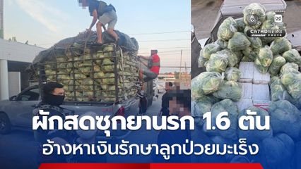 หนุ่มรับจ้างขนยานรก 1.6 ตัน ซุกใต้ผักสด อ้างหาเงินรักษาลูกป่วยมะเร็ง