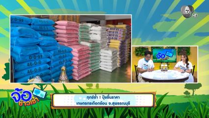 ทุกข์ซ้ำ ! ปุ๋ยขึ้นราคา เกษตรกรเดือดร้อน จ.สุพรรณบุรี