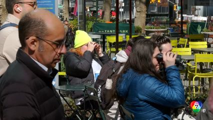 ชาวเมืองรวมตัวกันส่องนกอพยพ กลางนครนิวยอร์ก