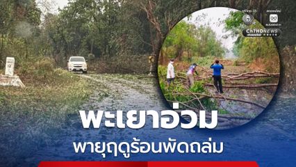 พายุฤดูร้อนพัดถล่ม ในพื้นที่ ต.ฝายกวาง ใน จ.พะเยา ทำให้ต้นไม้หักโค่นขวางถนนหลายสาย ขณะที่บ้านเรือนบางส่วนก็ได้รับความเสียหาย