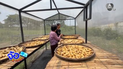 ชีวิตที่พอเพียง โดยไม่ต้องพึ่งพาใคร