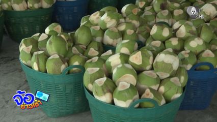 วงการน้ำมะพร้าวปลอมมีอยู่จริง ?