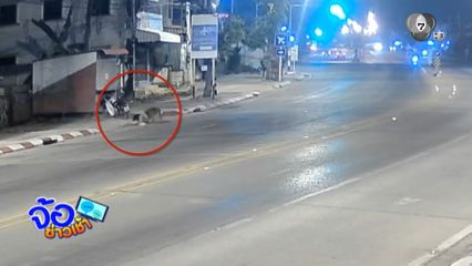 สุนัขกัดเจ้าของ คาดอากาศร้อน จ.ลำปาง