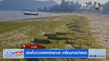 เร่งเก็บกวาดสาหร่ายทะเล เกลื่อนหาดป่าตอง