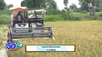 ชาวนากำลังจะหมดแรง จ.กาฬสินธุ์