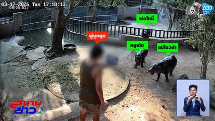 ศาลฯ ปรับ 1 หมื่นบาท ชายปีนบ่อ "หมูเด้ง"