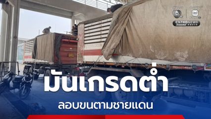 จับแล้ว 24 ราย ลอบขนมันเกรดต่ำตามชายแดน