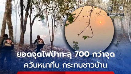 แม่ฮ่องสอน ยอดจุดไฟป่าทะลุ 700 กว่าจุด  ส่งผลให้หมอกควันไฟป่าหนาทึบ