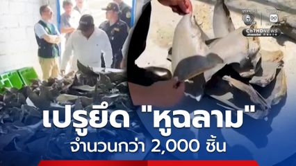 เปรู บุกยึด “หูฉลาม” กว่า 2,000 ชิ้น มูลค่าประมาณกิโลกรัมละ 16,000 บาท