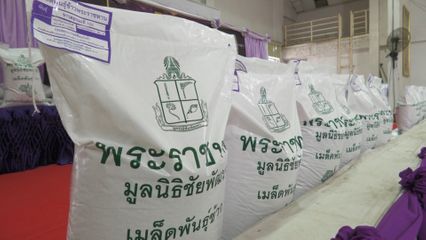 สมเด็จพระกนิษฐาธิราชเจ้า กรมสมเด็จพระเทพรัตนราชสุดา ฯ สยามบรมราชกุมารี พระราชทานเมล็ดพันธุ์ข้าวหอมมะลิ 105 แก่ราษฎรและเกษตรกรผู้ประสบอุทกภัยในจังหวัดร้อยเอ็ด